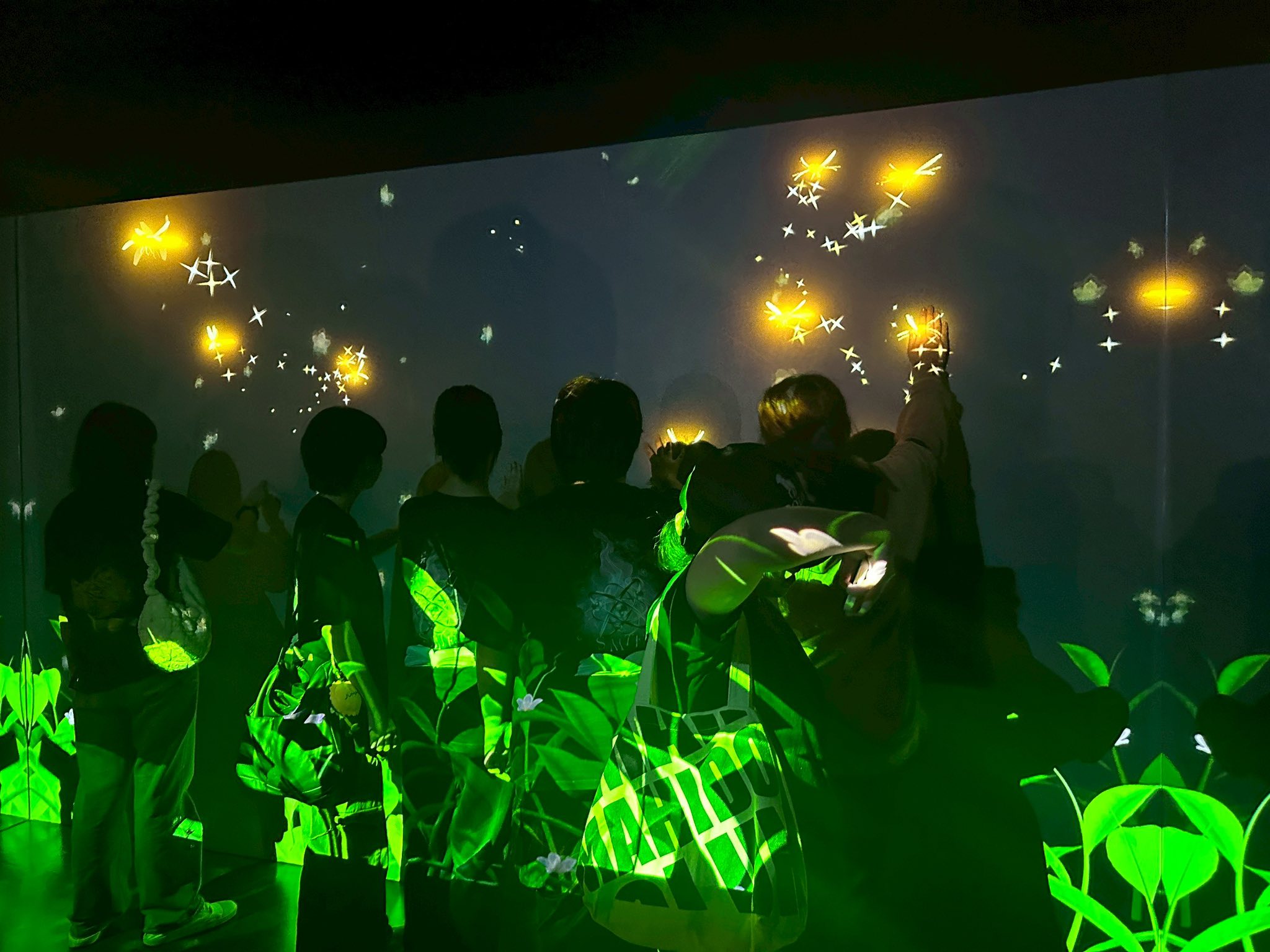 637401390 1284636727186019 7343639212717593378 n