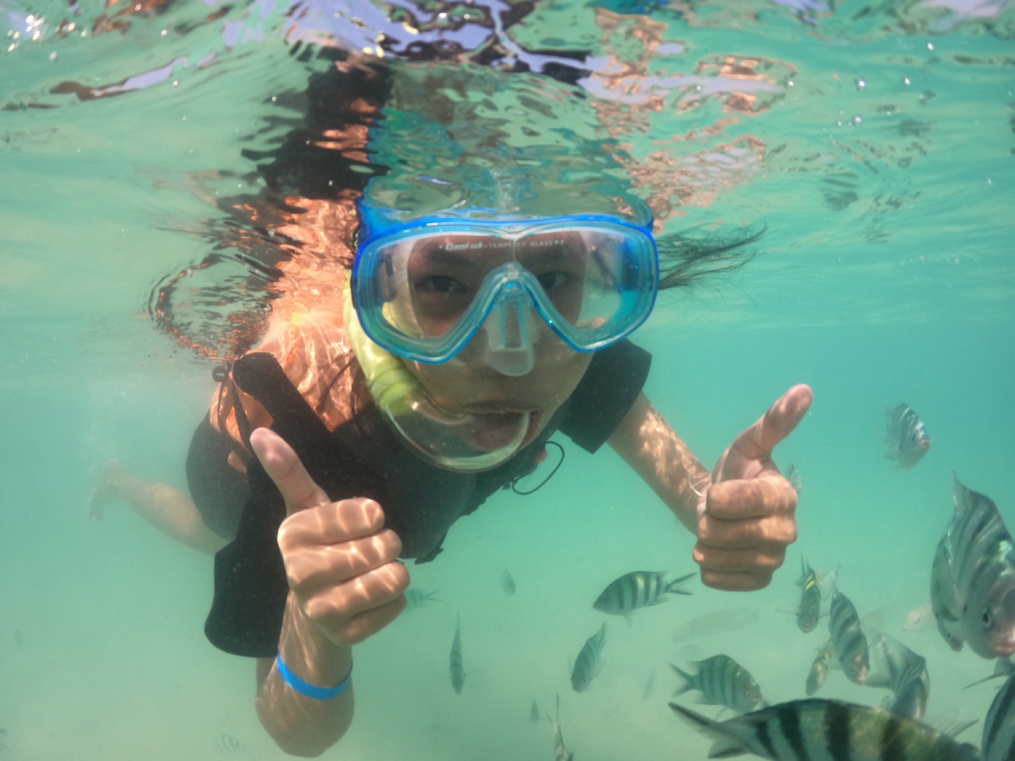 LINE ALBUM 25169 260126 21